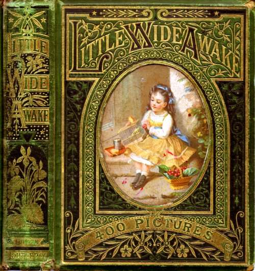 Little Wideawake: A story book for little children cover
