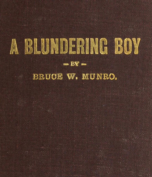 A Blundering Boy: A Humorous Story cover