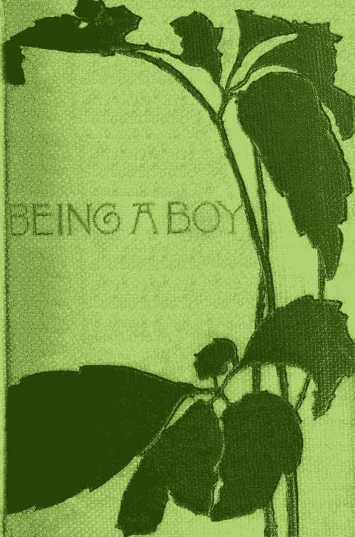 Being a Boy cover