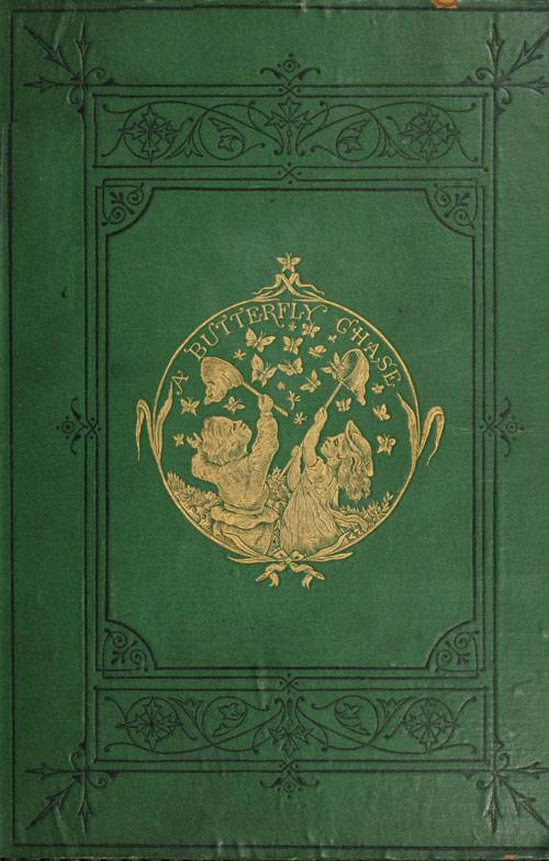 A Butterfly Chase cover