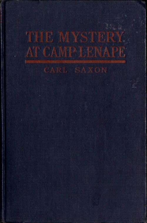 The Mystery at Camp Lenape cover