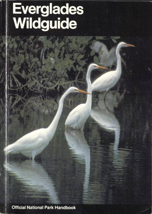 Everglades Wildguide / Handbook 143 cover
