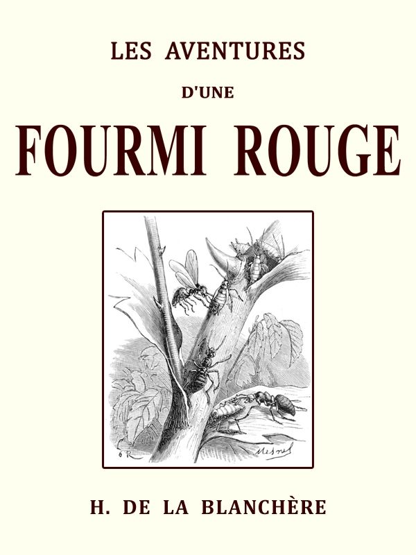 Les aventures d'une fourmi rouge et les mémoires d'un pierrot cover