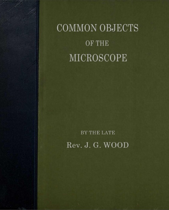 Common objects of the microscope cover