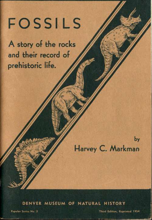 Fossils: A Story of the Rocks and Their Record of Prehistoric Life cover