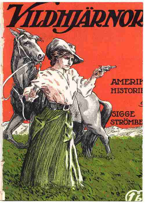 Vildhjärnor: Amerikahistorier cover