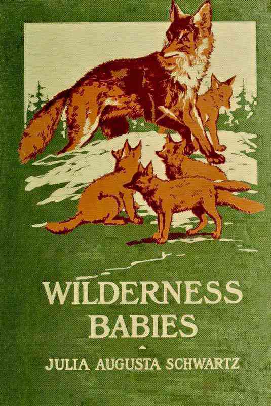 Wilderness Babies cover