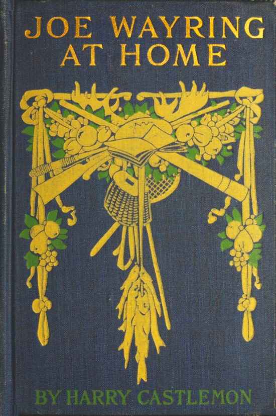Joe Wayring at Home; or, The Adventures of a Fly-Rod cover