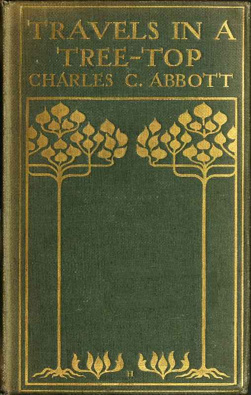 Travels in a Tree-top cover