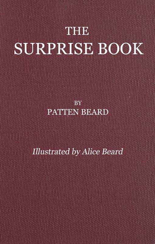 The Surprise Book cover