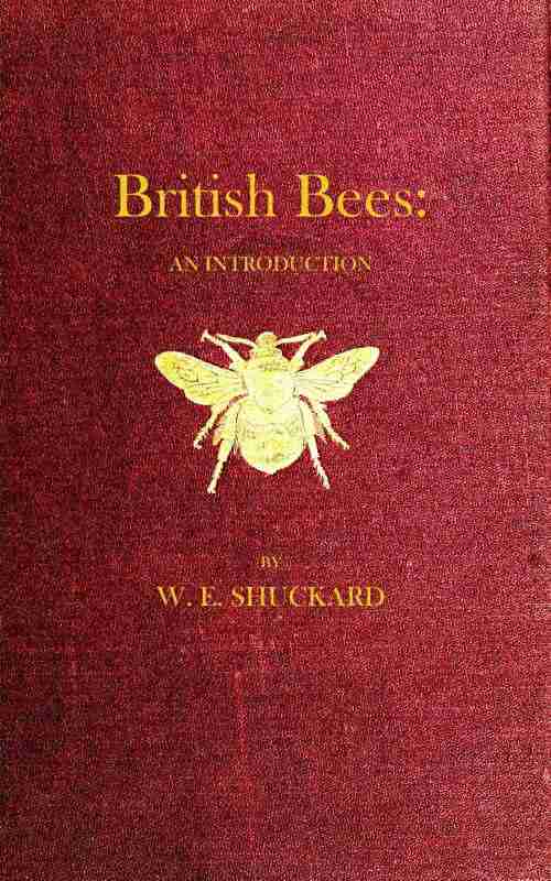 British Bees / An Introduction into the Studies of the Natural History and Economy of the Bees Indigenous to the British Isles cover