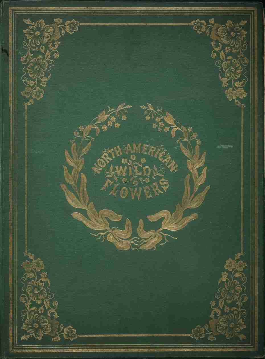 North American Wild Flowers cover