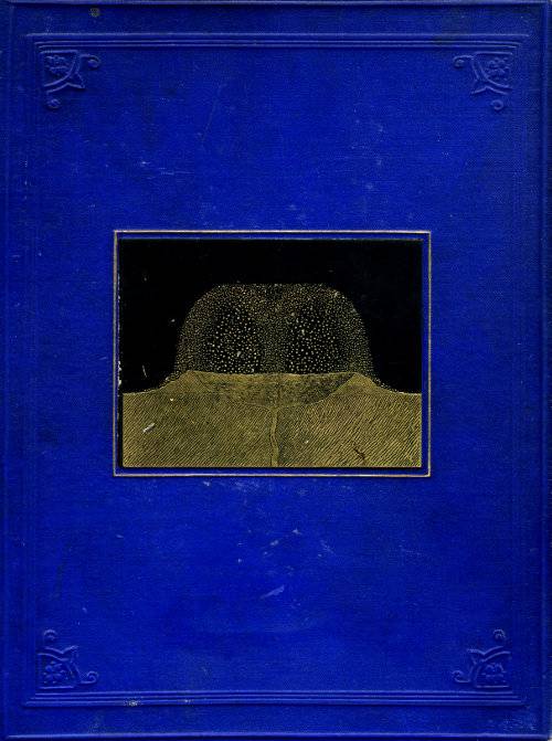 The Moon: considered as a planet, a world, and a satellite. cover