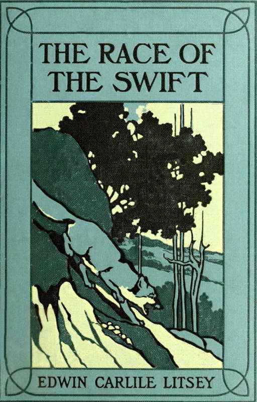 The Race of the Swift cover