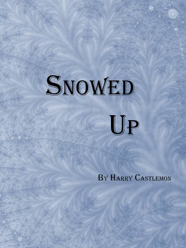 Snowed Up; or, The Sportman's Club in the Mountains cover