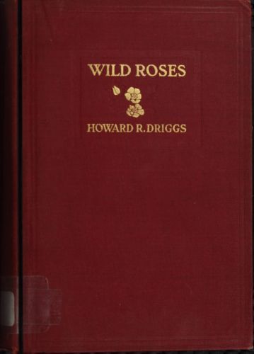 Wild Roses: A Tale of the Rockies cover