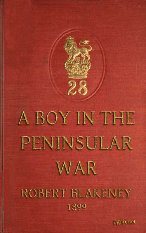 A boy in the Peninsular War cover