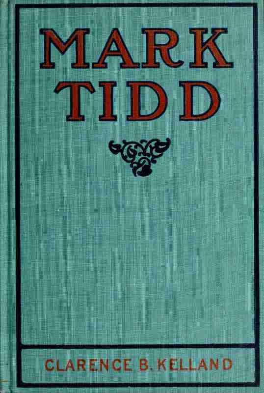 Mark Tidd: His Adventures and Strategies cover