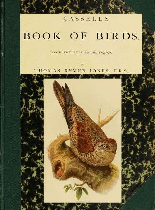 Cassell's book of birds; vol. 2 cover