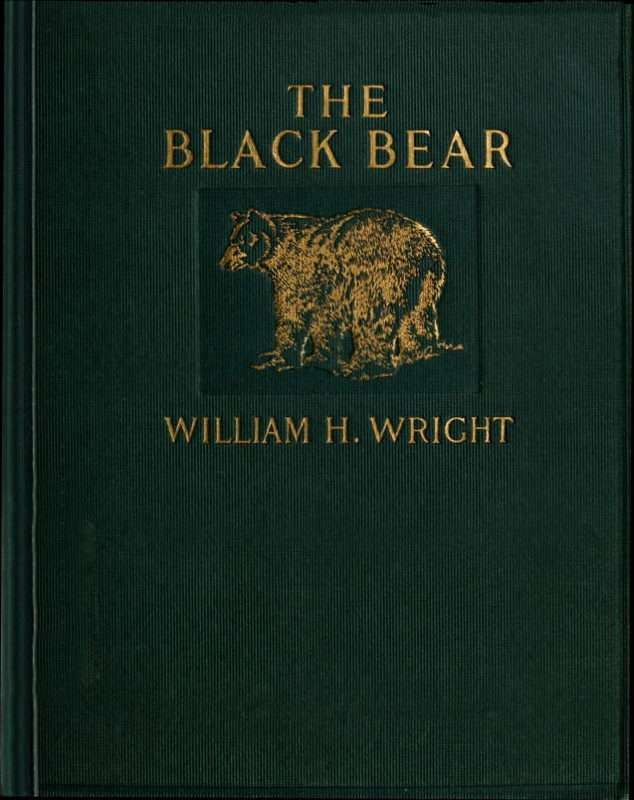 The Black Bear cover