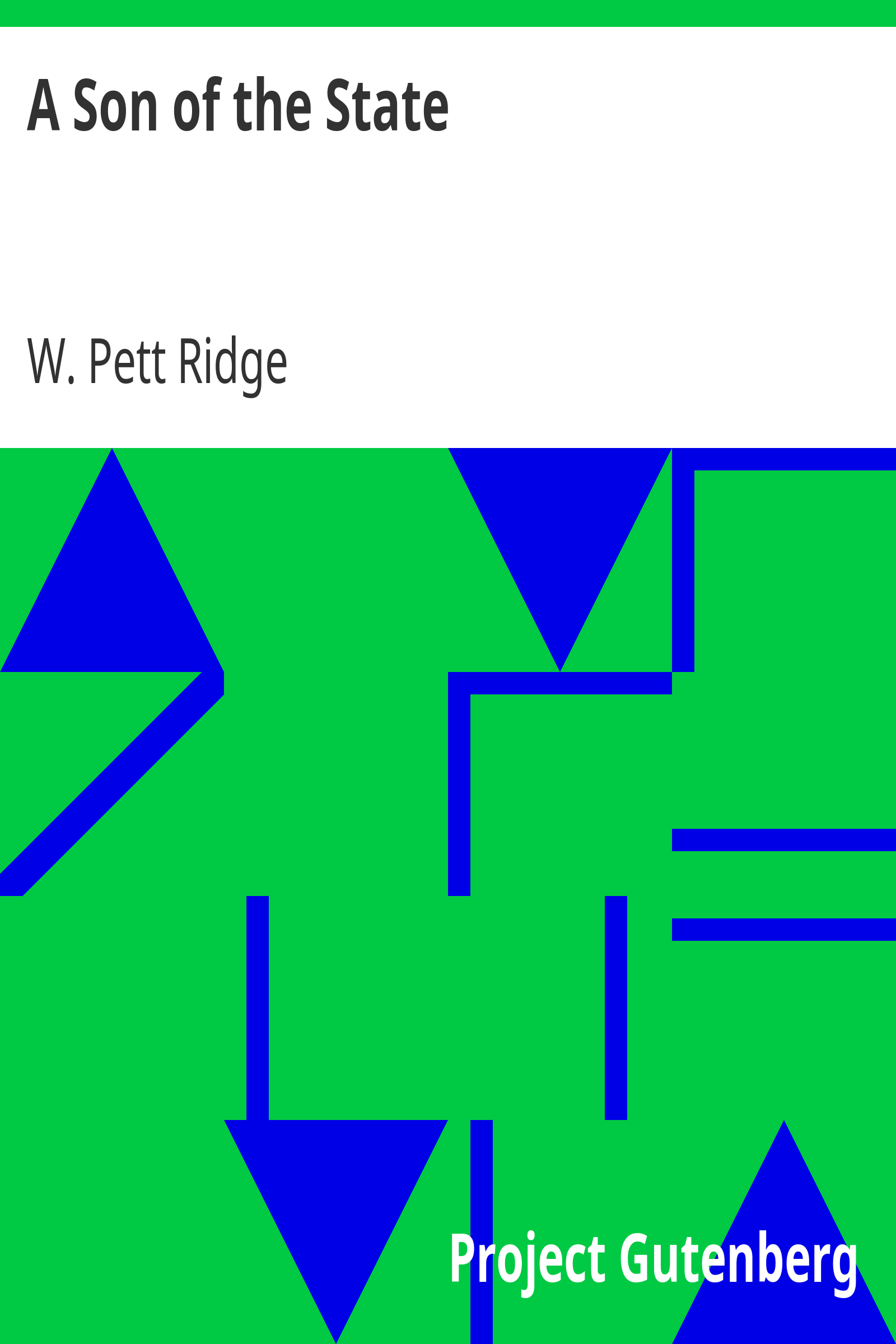 A Son of the State cover