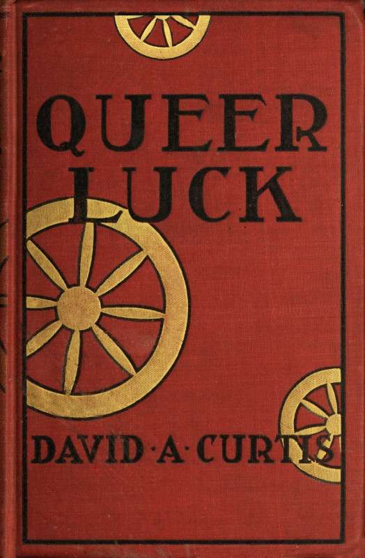 Queer Luck: Poker Stories from the New York Sun cover