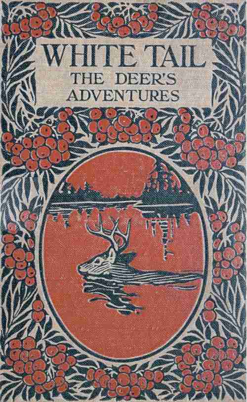 White Tail the Deer's Adventures cover