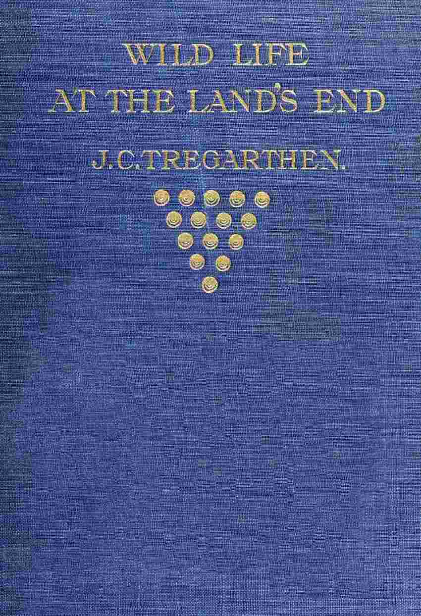 Wild Life at the Land's End / Observations of the Habits and Haunts of the Fox, Badger, Otter, Seal, Hare and of Their Pursuers in Cornwall cover