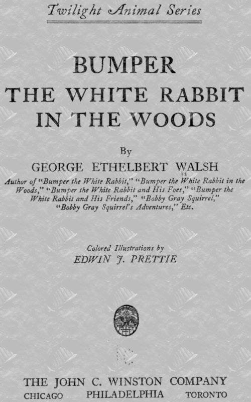 Bumper the White Rabbit in the Woods cover