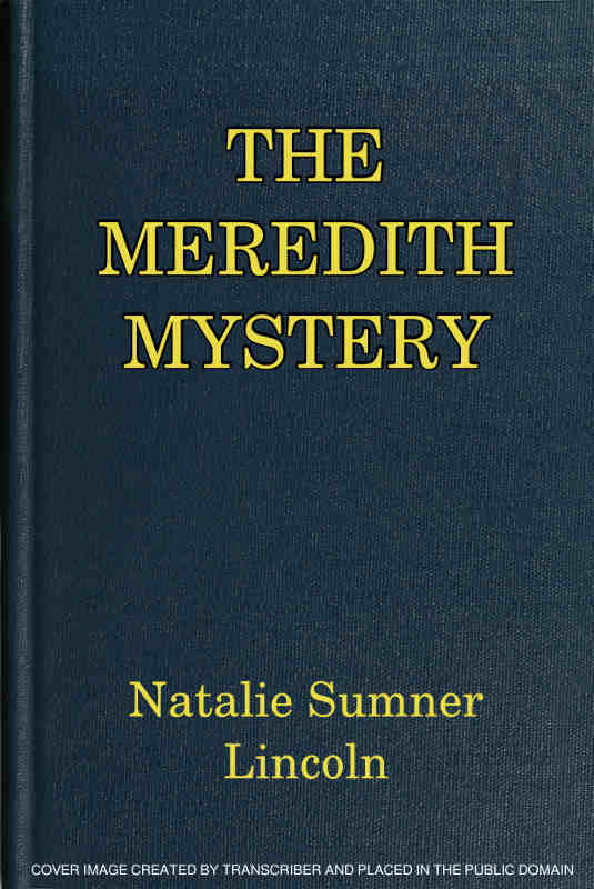The Meredith Mystery cover