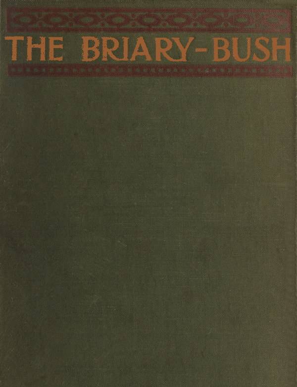 The Briary Bush: A Novel cover