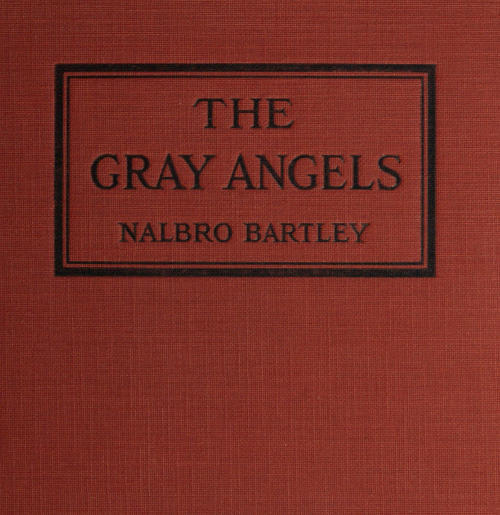 The Gray Angels cover