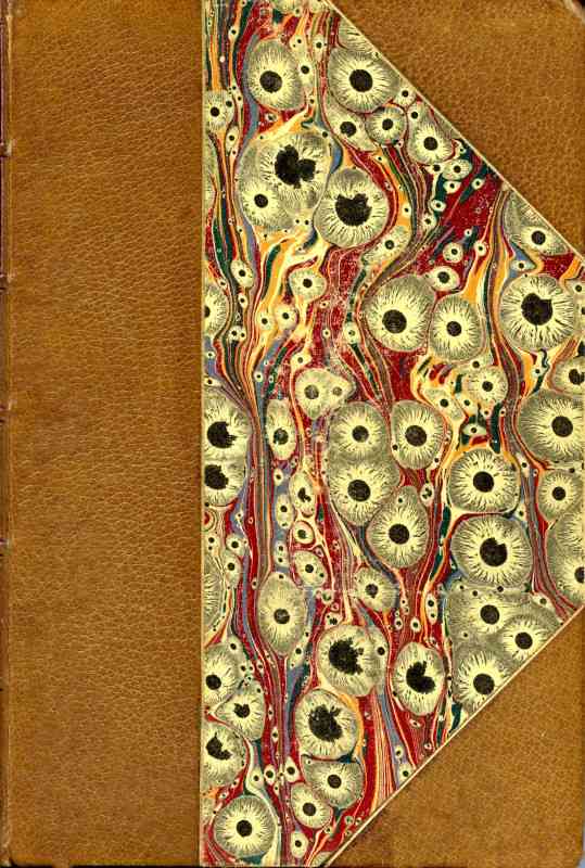 Gerfaut cover
