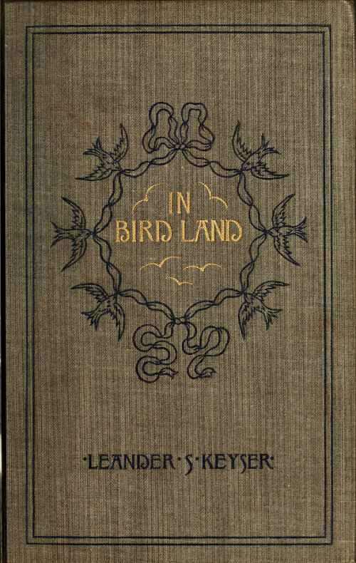 In Bird Land cover