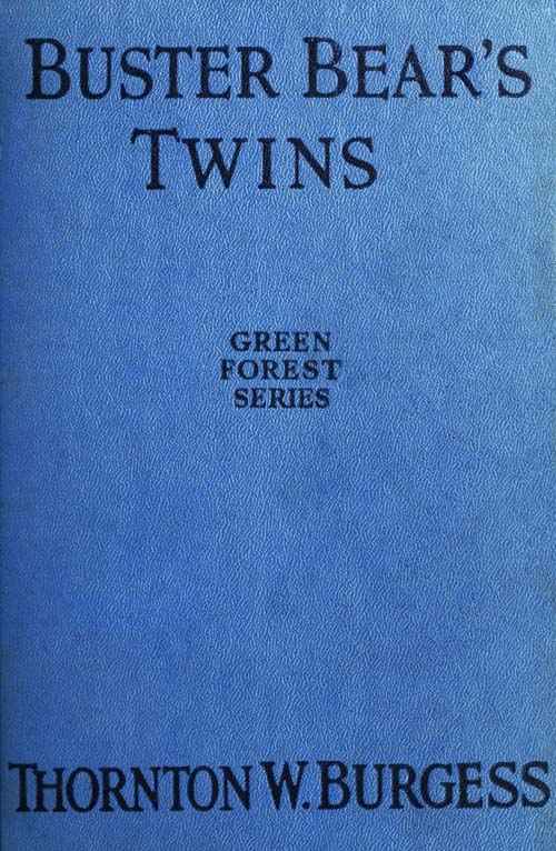 Buster Bear's Twins cover
