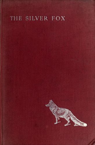 The Silver Fox cover