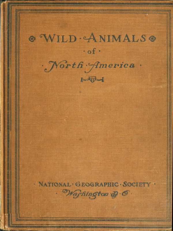 Wild Animals of North America / Intimate Studies of Big and Little Creatures of the Mammal Kingdom cover