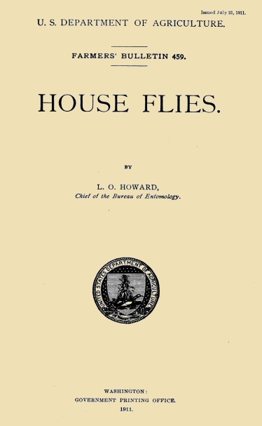 House Flies cover