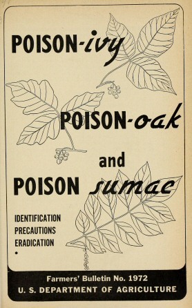 Poison-ivy, poison-oak and poison sumac cover