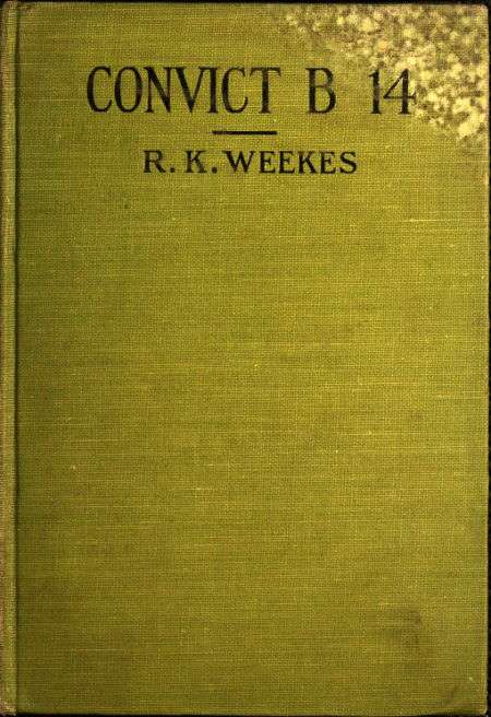 Convict B 14: A Novel cover