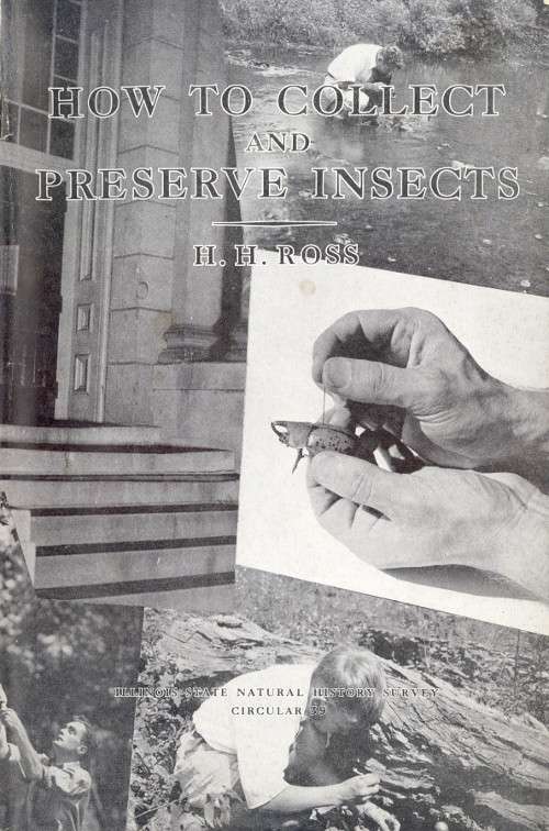 How to Collect and Preserve Insects cover