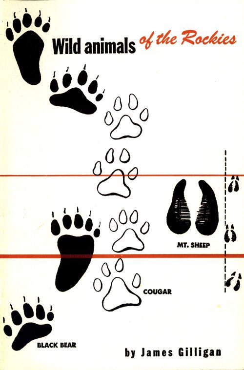 Wild Animals of the Rockies / With a List of Mammals found in Rocky Mountain National Park cover
