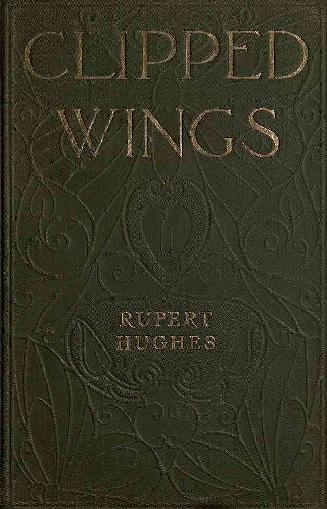 Clipped Wings cover