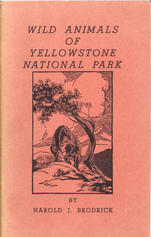 Wild Animals of Yellowstone National Park cover