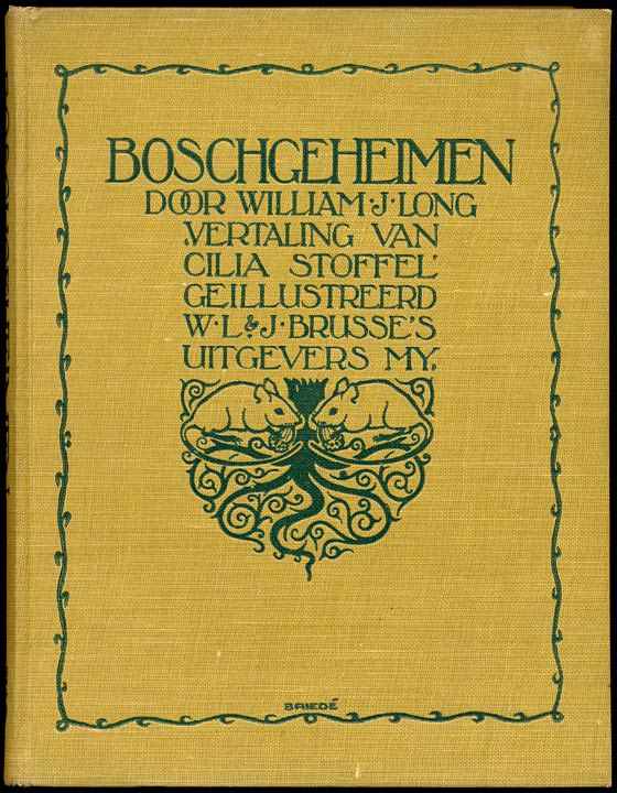 Boschgeheimen cover