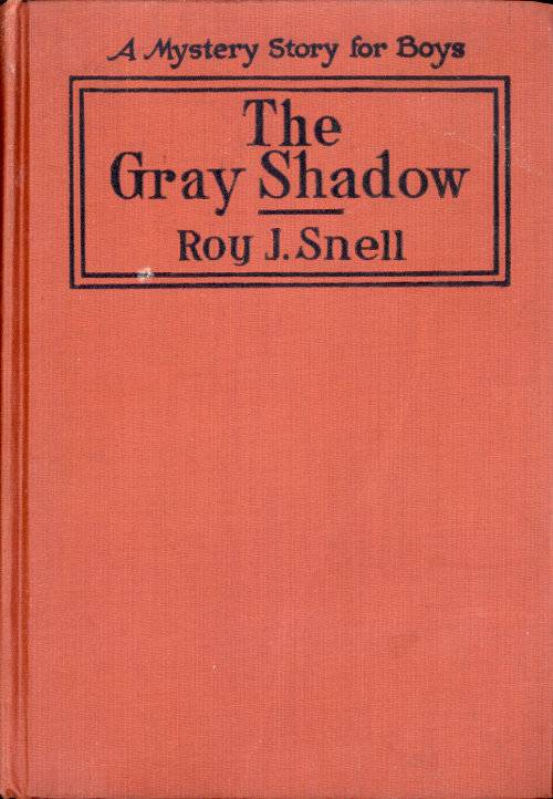 The Gray Shadow / A Mystery Story For Boys cover