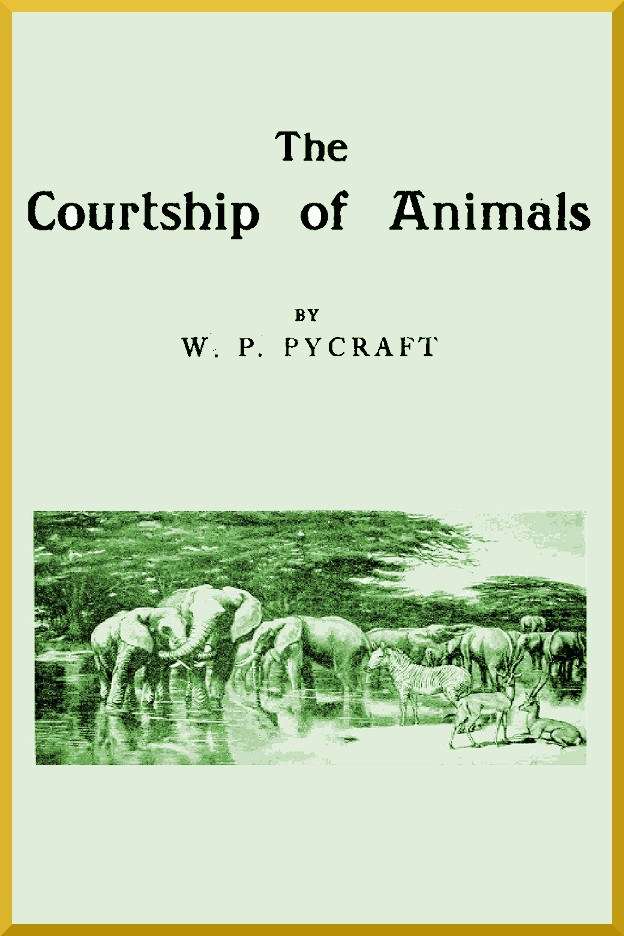 The Courtship of Animals cover