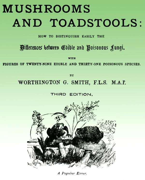 Mushroom and Toadstools / How to Distinguish Easily the Differences Between Edible and Poisonous Fungi cover