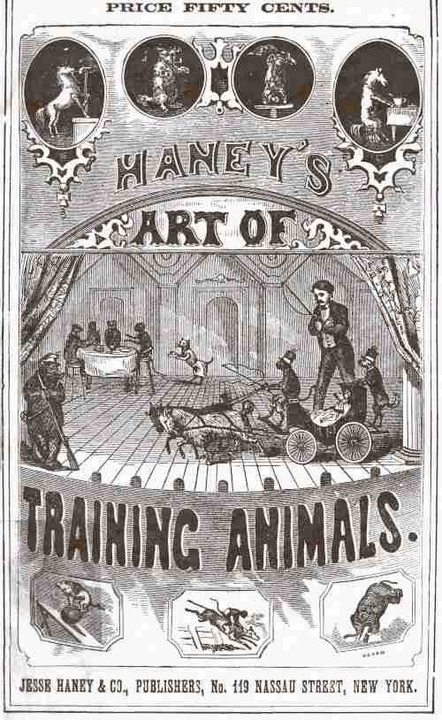 Haney's Art of Training Animals / A Practical Guide for Amateur or Professional Trainers. Giving Full Instructions for Breaking, Taming and Teaching All Kinds of Animals Including an Improved Method of Horse Breaking, Management of Farm Animals, Training of Sporting Dogs; Serpent Charming, Care and Tuition of Talking, Singing and Performing Birds; and Detailed Instructions for Teaching All Circus Tricks, and Many Other Wonderful Feats. cover