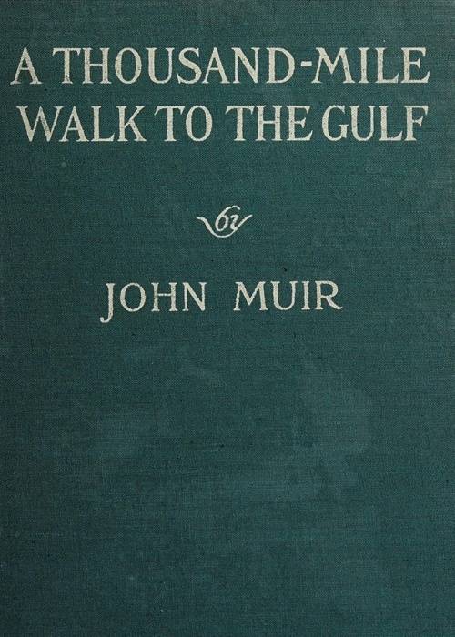 A Thousand-Mile Walk to the Gulf cover